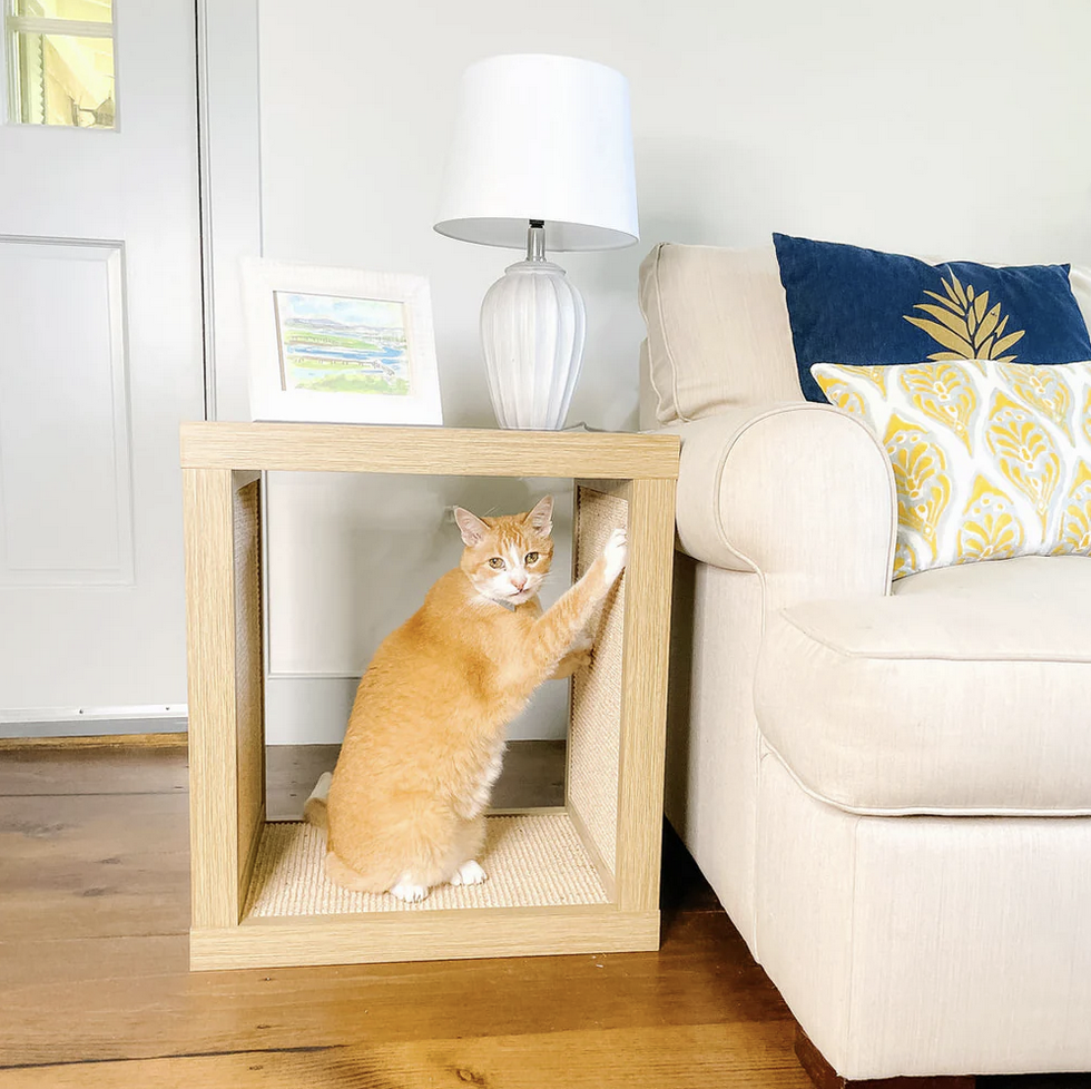 Orange cat scratching the Cat Scratcher End Table next to a sofa and lamp.